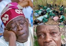 Tinubu Lacks Capacity To Fix Nigeria